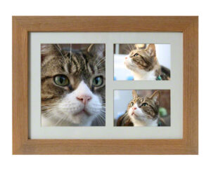 Tribute Frames Maxi Frame Natural Oak